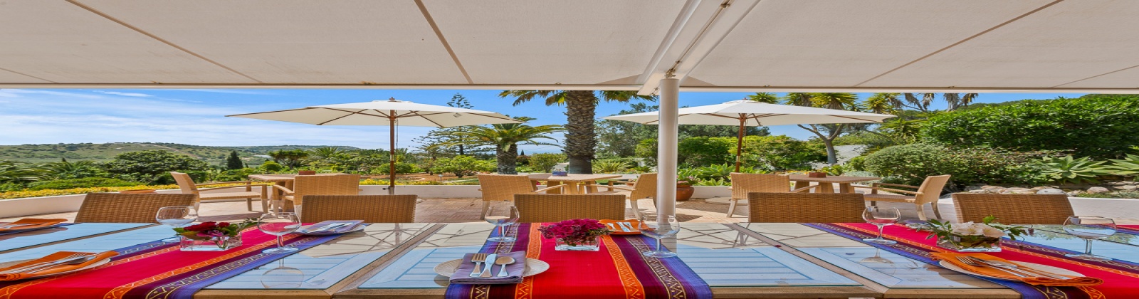 Dine Alfresco 